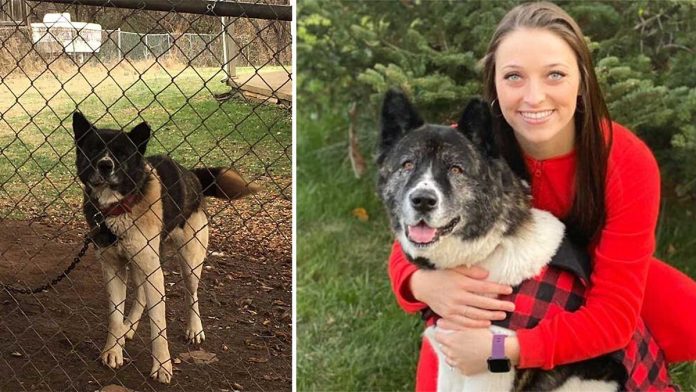 femme visité chien un an sauver