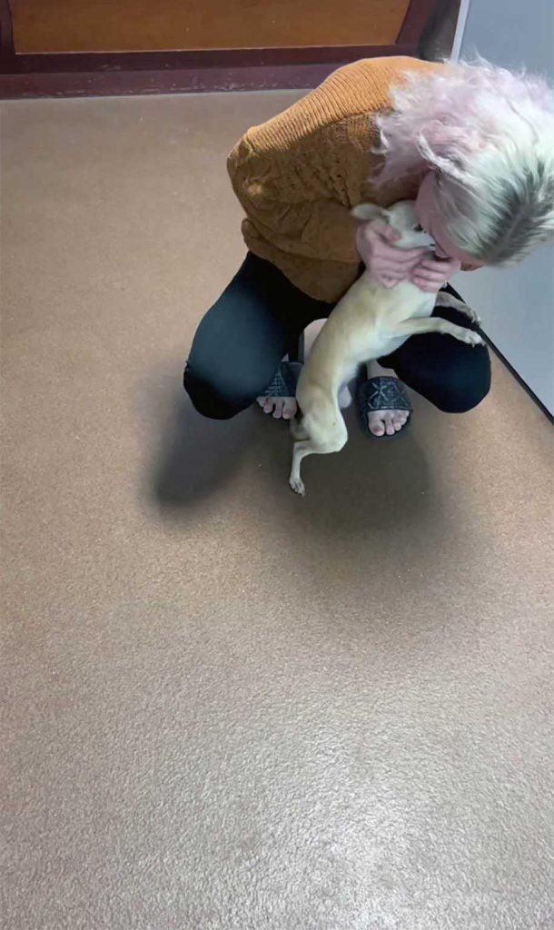 Dog is reunited with her human