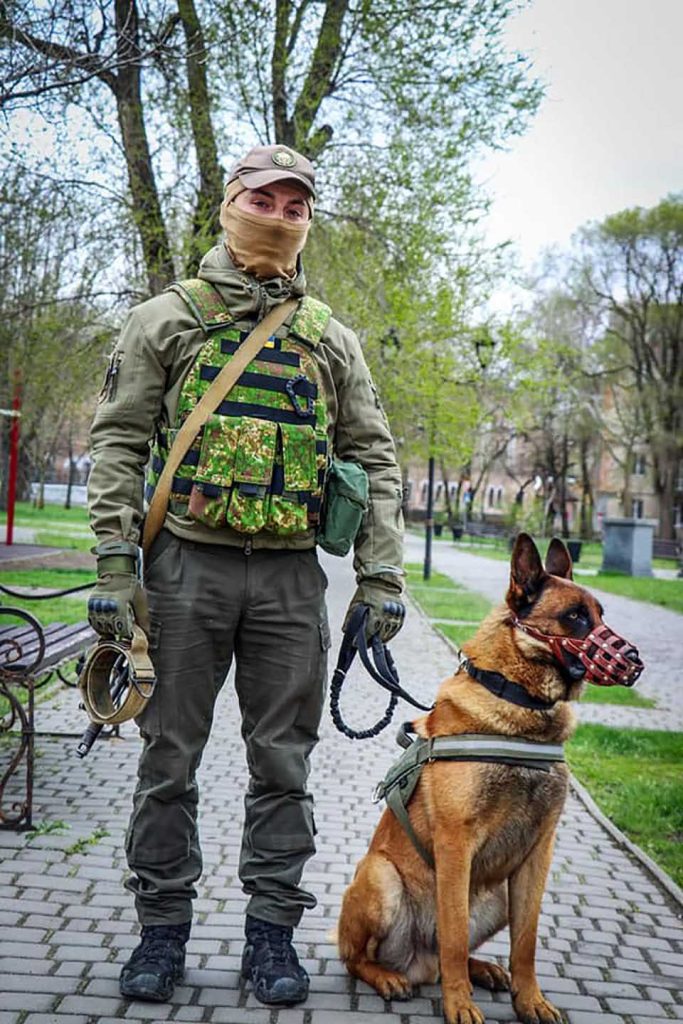 Un chien de guerre abandonné est sauvé par les troupes ukrainiennes
