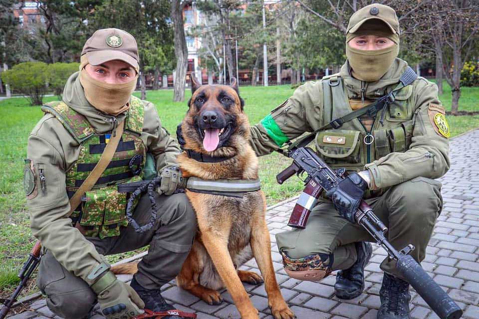 Un chien de guerre abandonné par les Russes change de camp après avoir été secouru par les troupes ukrainiennes