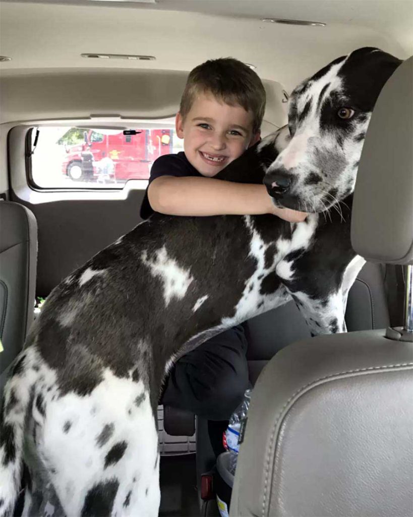 La famille adopte le plus gros chien du refuge