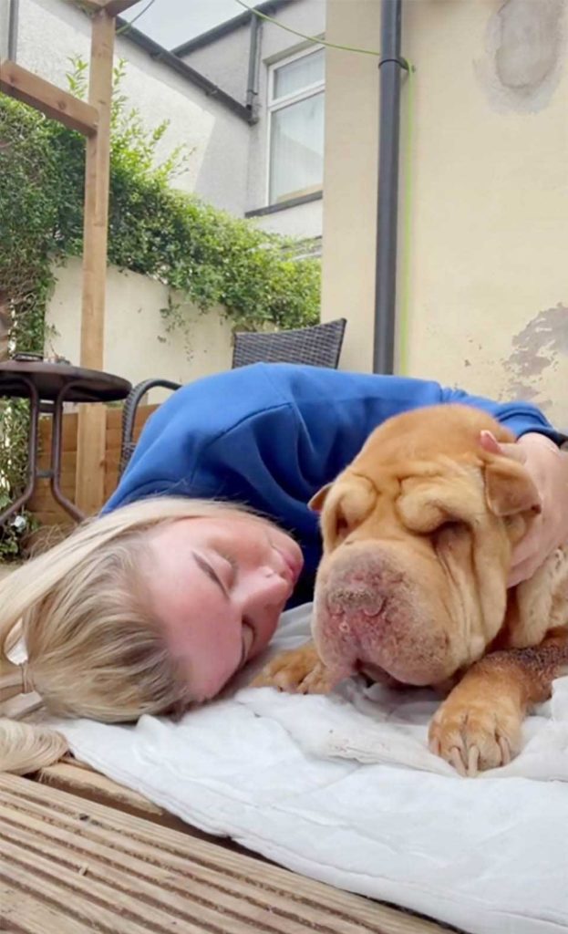 Une femme donne à son chien bien-aimé quelques dernières heures d'amour