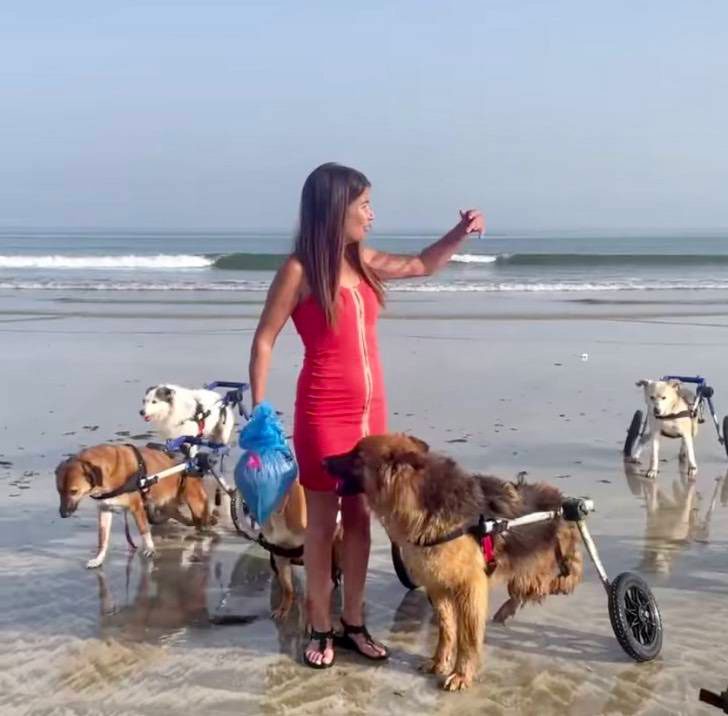 femme emmené 18 chiens handicapés plage