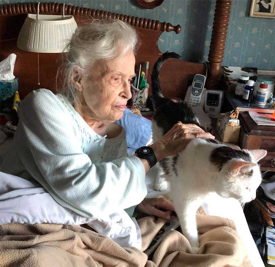 famille adopte 19 vieux chat refuge grand-mère 101 ans