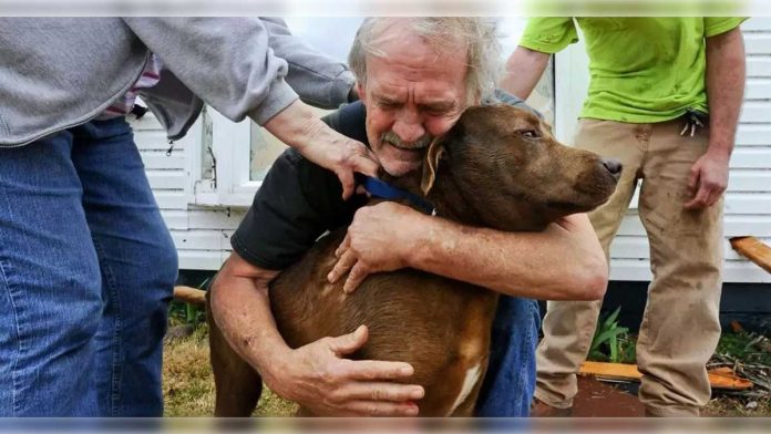 grand-père emmené chien hôpital larmes argent soigner