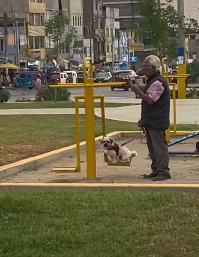 grand-père promène chien balançoire parc