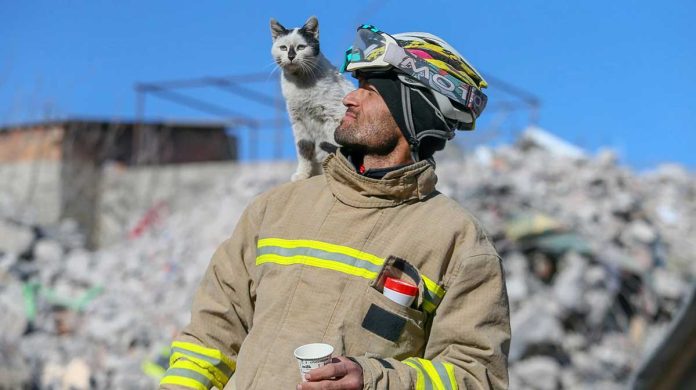 Enkaz chat secouru Turquie pompier Ali Cakas