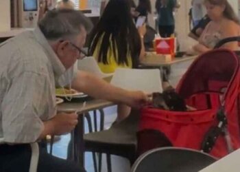 Un homme est filmé en train de nourrir son chien paralysé dans un centre commercial et une scène affectueuse excite les internautes