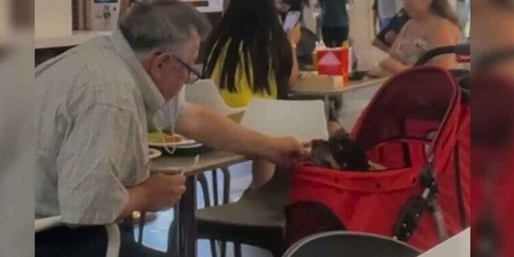 Un homme est filmé en train de nourrir son chien paralysé dans un centre commercial et une scène affectueuse excite les internautes