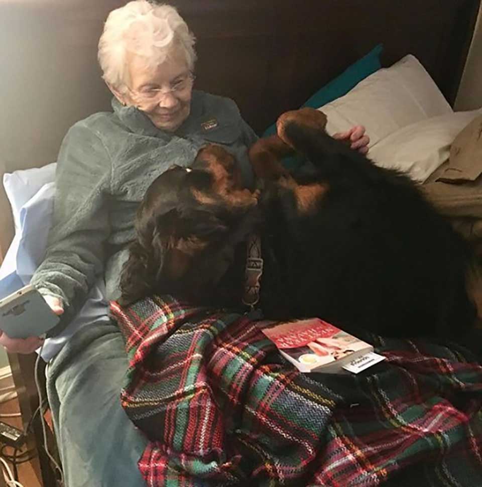 grand-mère rottweiler chien obéissant