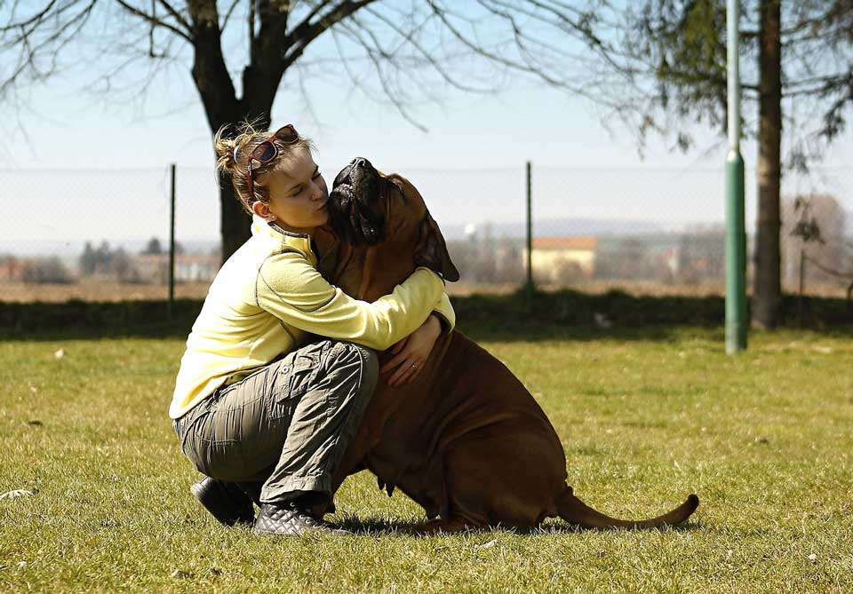 étude révèle femmes préfèrent serrer chiens leurs bras plutôt petits amis