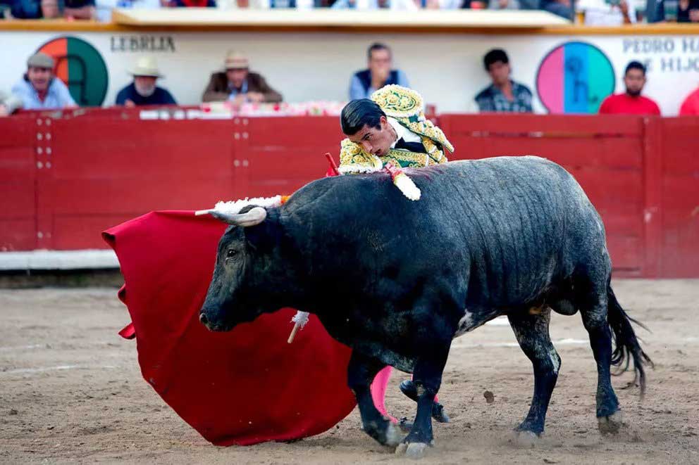 Adieu corridas Foire Puebla juge annulation événements