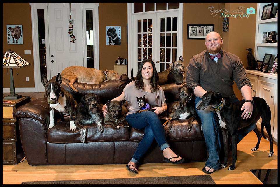 couple adopté tellement chiens lit plus grand