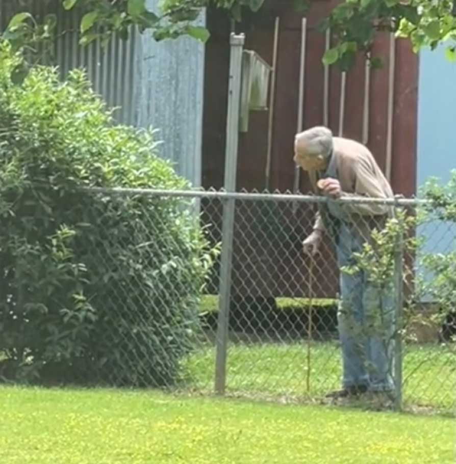 douce amitié homme âgé avec Golden Retrievers voisin vidéo