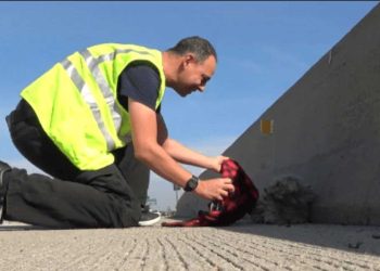 homme s arrête au milieu route pour aider chien abandonné