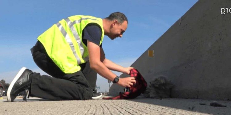 homme s arrête au milieu route pour aider chien abandonné