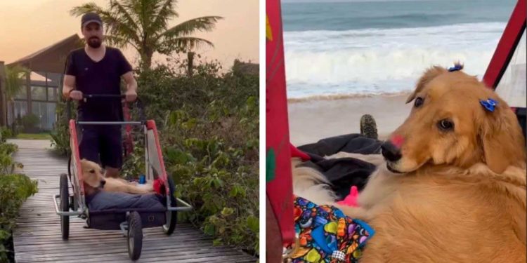 jeune homme emmène chien bien-aimé voir la mer