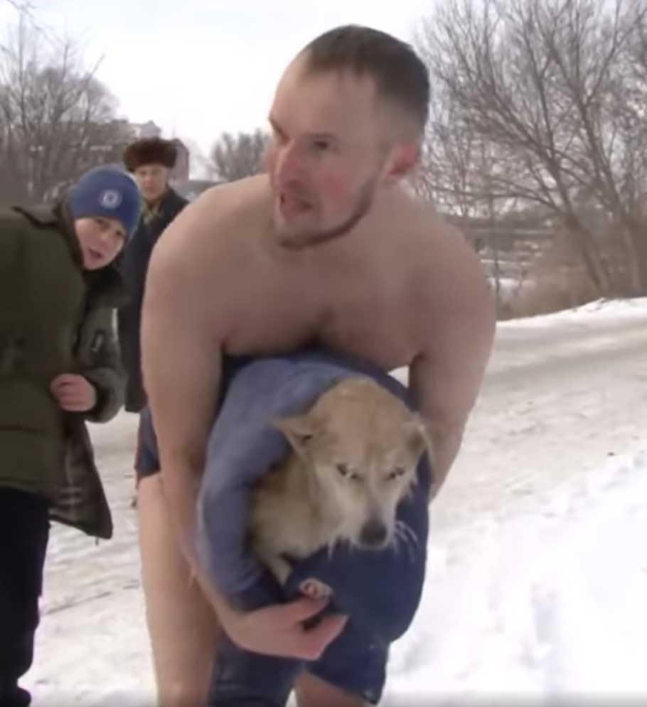 journaliste pose micro saute eau glacée pour sauver chien