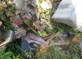 En marchant elle a remarqué des pattes qui sortaient tas ordures