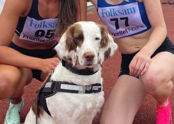 chien star championnats Europe athlétisme