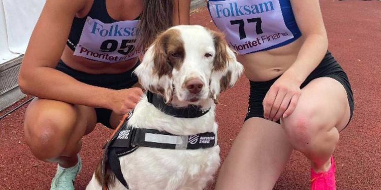 chien star championnats Europe athlétisme