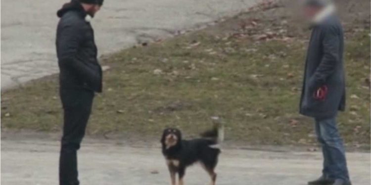 Voulez-vous vendre votre chien ? Une expérience sociale émouvante redonne confiance aux gens 1 Voulez-vous vendre votre chien expérience sociale