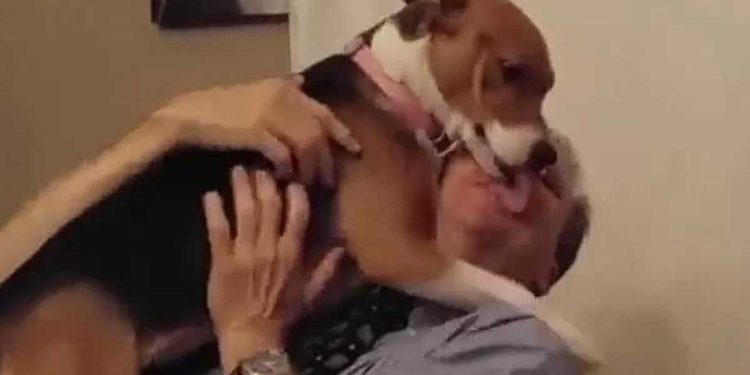 Le chien « indésirable » a enfin trouvé un foyer. C'est magnifique comme il a remercié sa nouvelle famille 1 chien indésirable trouvé foyer remercié famille