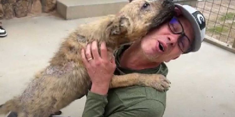 Ce chien ne peut contenir sa joie lorsqu'il rencontre sa famille adoptive pour la première fois (vidéo) 1 chien joie rencontre famille adoptive