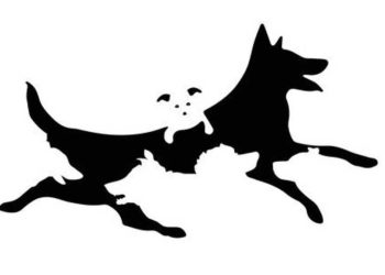 combien chiens image âge mental