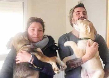 couple adopte chiot 45 minutes frère aveugle