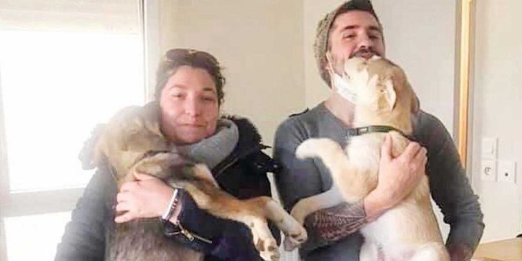 Vierzon: Un couple adopte un chiot et 45 minutes plus tard, ils reviennent chercher son frère aveugle 1 couple adopte chiot 45 minutes frère aveugle