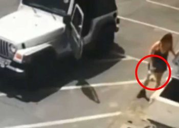 femme arrêtée jeté sept chiots sac poubelle scellé