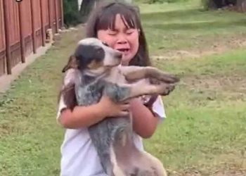 fille rencontre son amie disparue