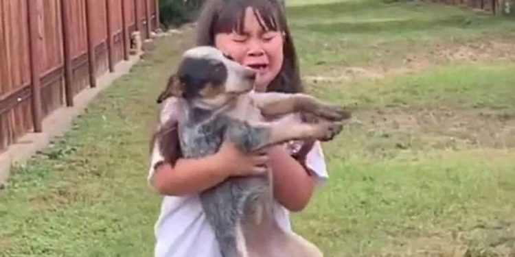 fille rencontre son amie disparue