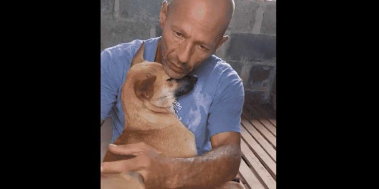 Il a sauvé le chien d'une mort certaine. Elle l'a remercié de la plus belle des manières 1 sauvé chien mort certaine remercié