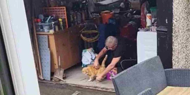 Elle a secrètement enregistré ce que son père faisait avec un chat errant dans le garage. Les internautes n'ont aucun doute sur le jugement 1 secrètement enregistré son père faisait chat errant