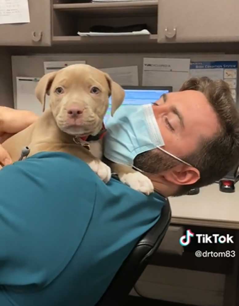 vidéo clinique vétérinaire devenue virale