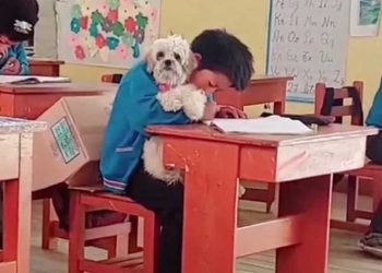 larmes aux yeux écolier posé question inhabituelle professeur