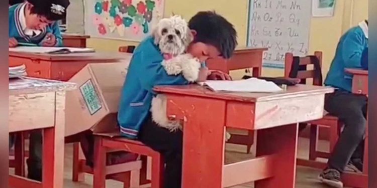 larmes aux yeux écolier posé question inhabituelle professeur