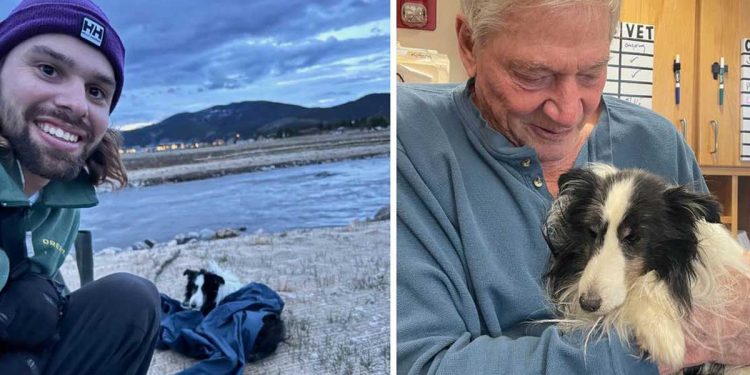 randonneur trouvé chien perdu montagnes