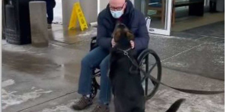 Sans le chien il n aurait pas survécu