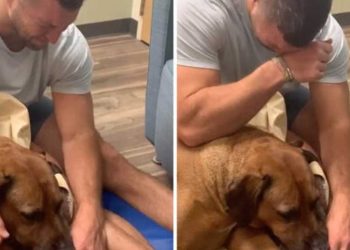 histoire émouvante homme pleure nourrissant chien dernière fois