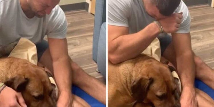 histoire émouvante homme pleure nourrissant chien dernière fois