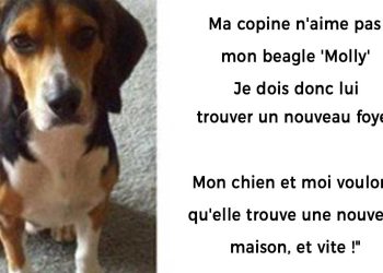 petite amie lancé ultimatum moi chien