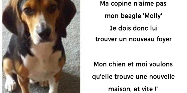 petite amie lancé ultimatum moi chien