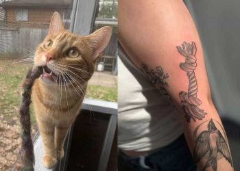 Tout le monde se moquait de son tatouage