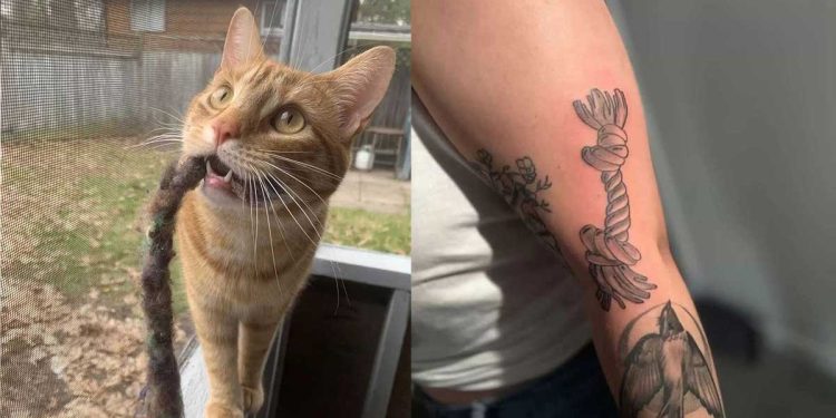 Tout le monde se moquait de son tatouage et disait qu'il était moche. Ils ne savaient pas à quel point c'était important 1 Tout le monde se moquait de son tatouage