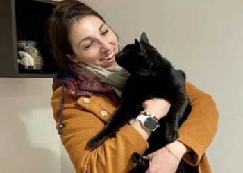 chat était censé être hôtel disparu