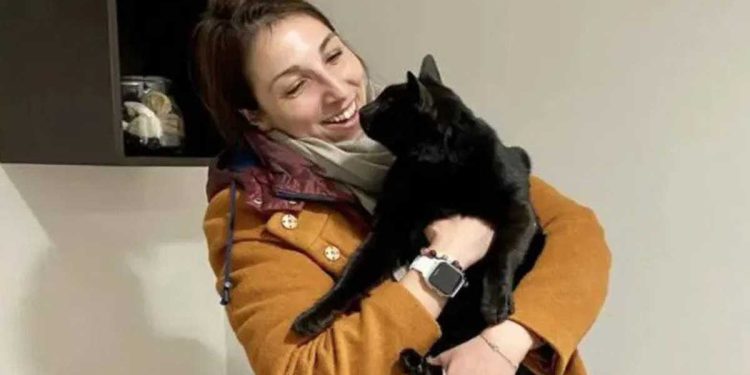 chat était censé être hôtel disparu