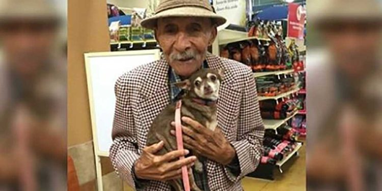 Un chihuahua effrayé abandonné dans un chenil n'arrêtait pas de trembler - c'est ainsi qu'un héros de 90 ans est entré en scène 1 chihuahua effrayé abandonné héros 90 ans